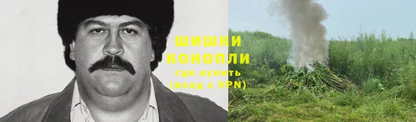 PSILOCYBIN Алзамай