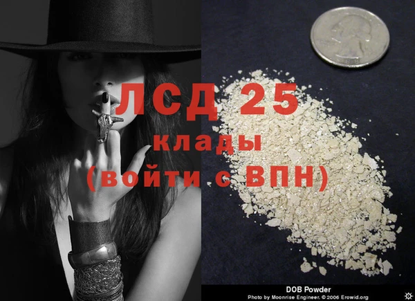 твердый Надым