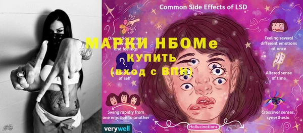 PSILOCYBIN Алзамай