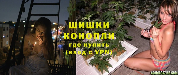 PSILOCYBIN Алзамай