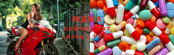 PSILOCYBIN Алзамай