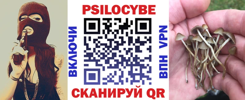 Псилоцибиновые грибы мицелий  как найти наркотики  Спас-Деменск 